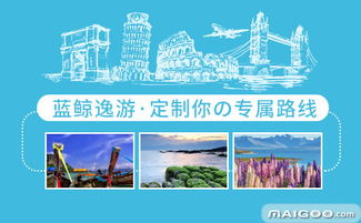 藍鯨旅行 開啟私人定制與商務(wù)考察的專業(yè)旅程